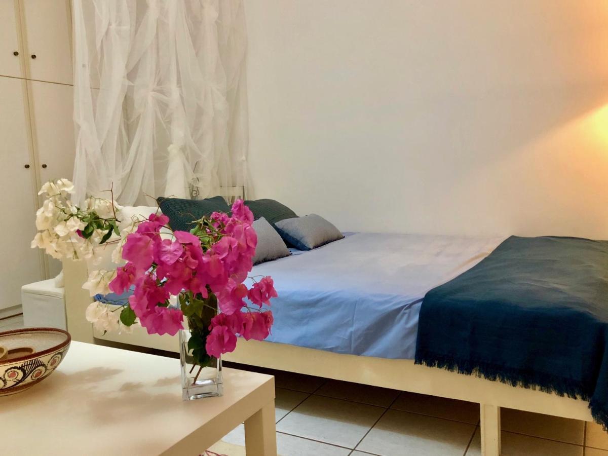 דירות קסילוקסטרו Chez Natalie מראה חיצוני תמונה